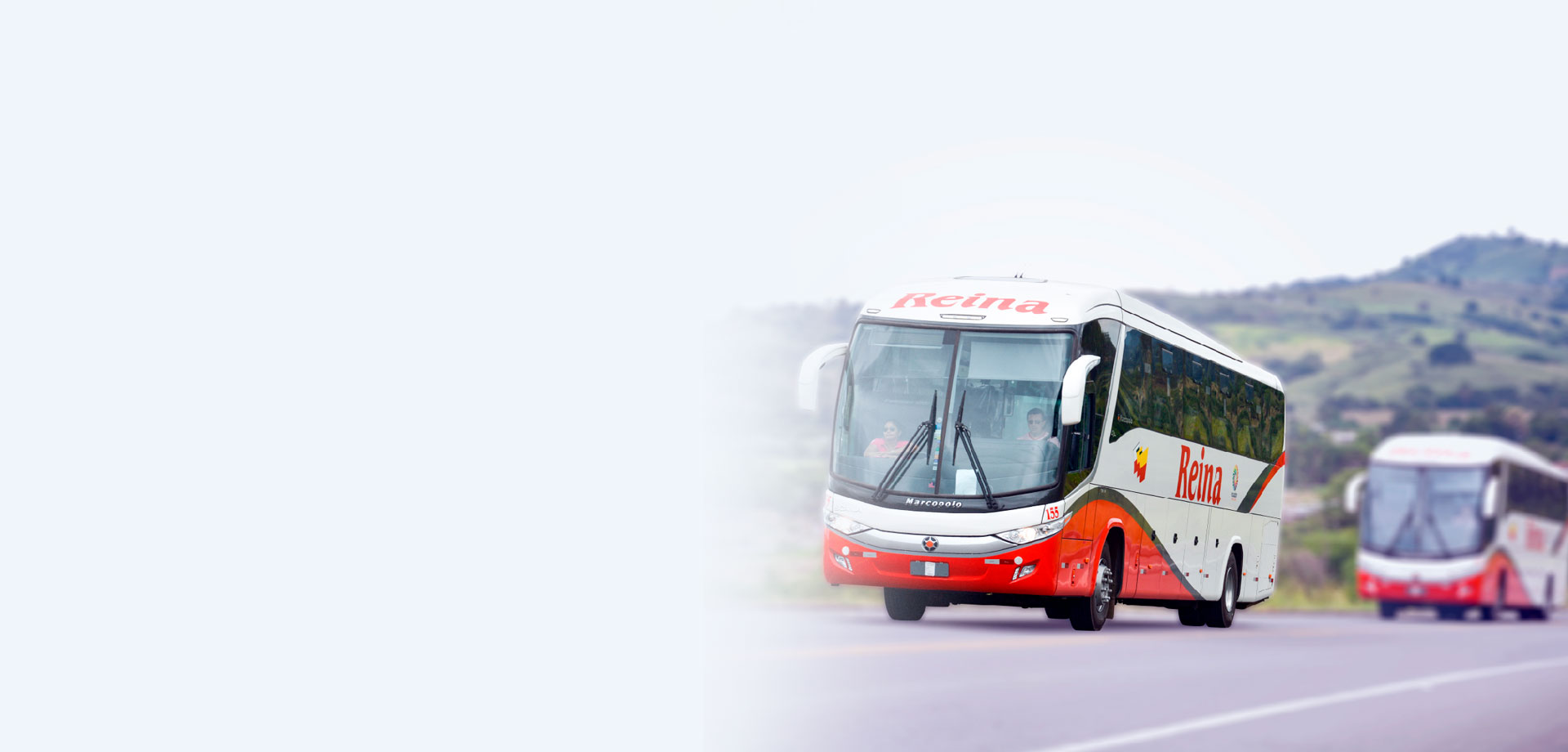 Cooperativa de transportes Reina del camino